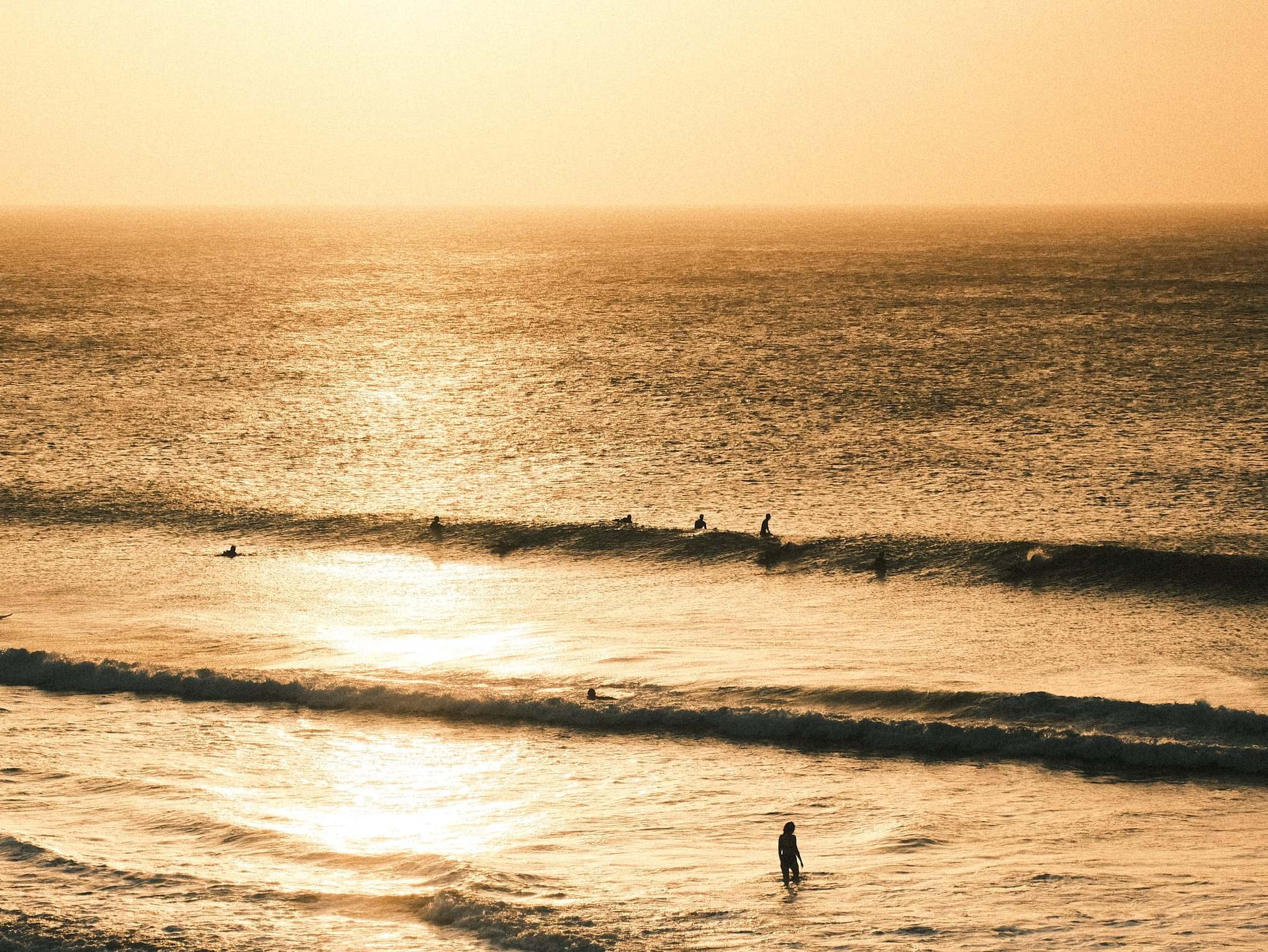 Surfers paddling in a golden sunset line-up in Fuerteventura