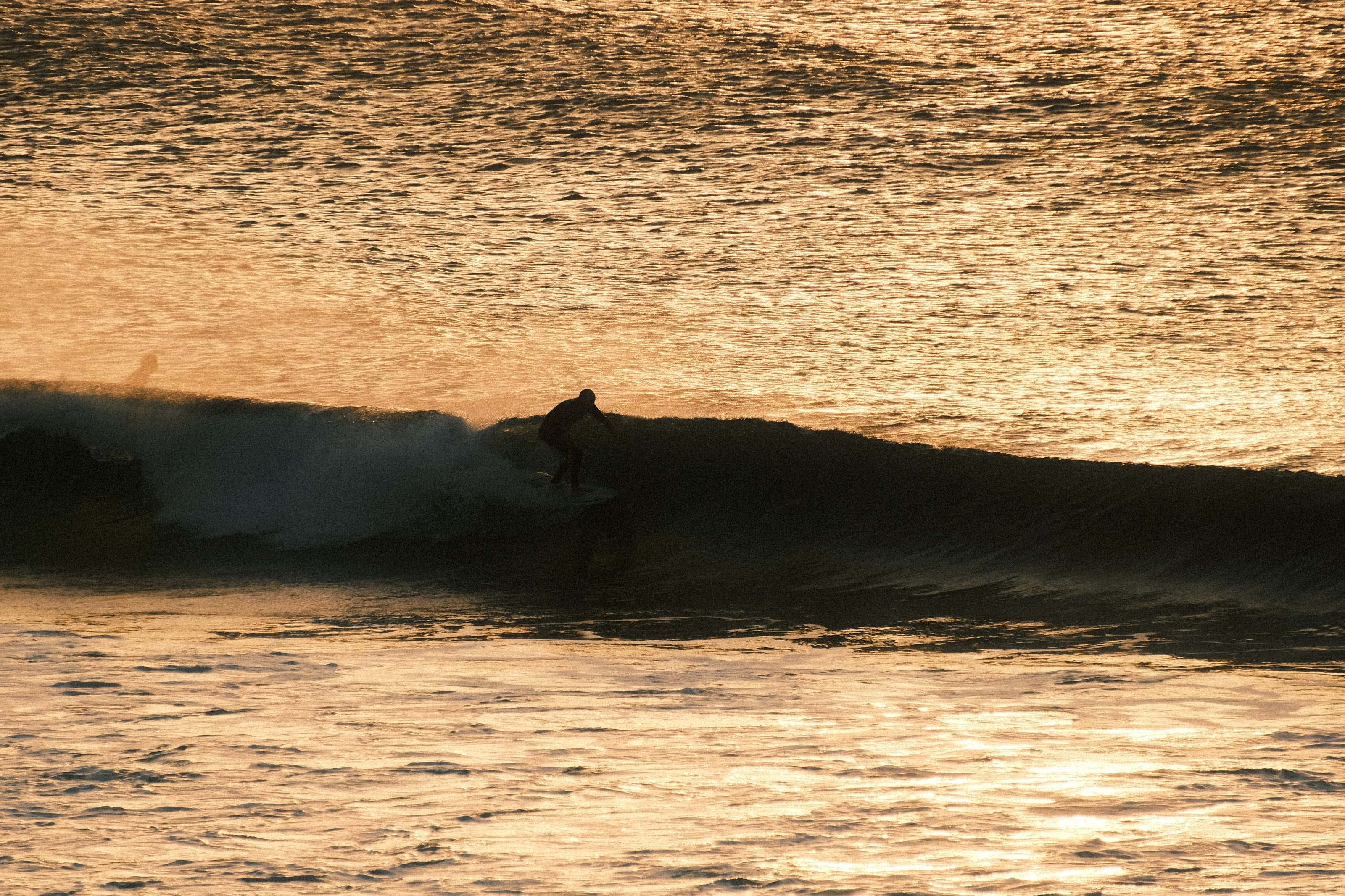 Silhouette of a surfer riding a wave lit gold by the evening sun